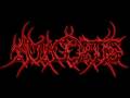 The Ultimate Brutal Death Metal/Goregrind/Porngrind Compilation Part 3
