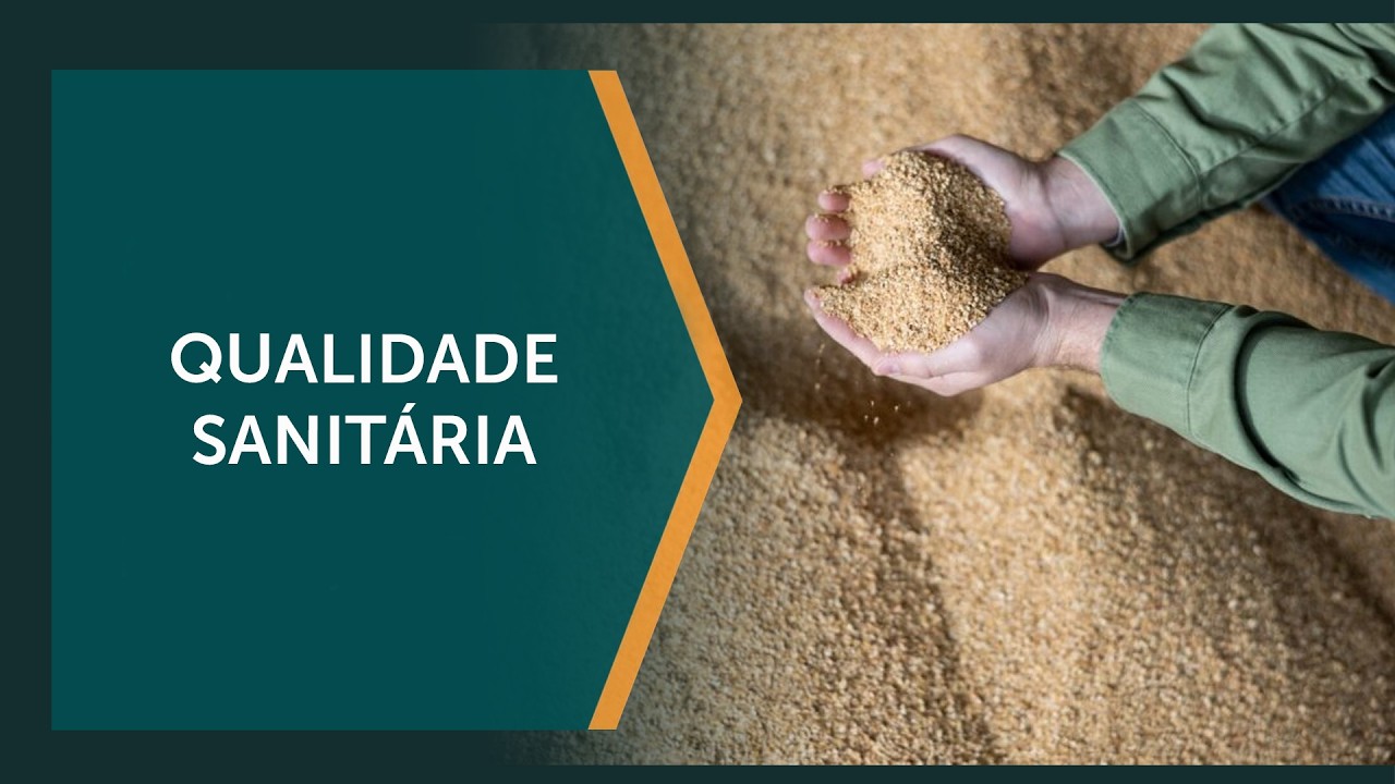 Tecnologia reduz microtoxinas sem deixar resíduos químicos