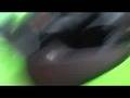 Kawasaki Ninja250R　Bandit1200S　ELIMINATOR250V　Buell　YZF-R1