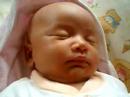 gud morning wahda1 gud morning wahda1