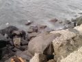 alexey denisov 3l.wmv