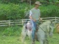 Cavalos que só faltam falar...