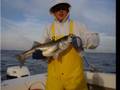 videos de Virginia Beach Rockfish Frostbite Challege