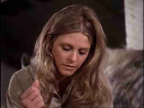 jaime hammer