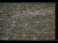 Gremio 6 x Flamengo 1 - Copa do Brasil 1989