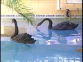 RESTAURANTE LEON -ARTXANDA - BILBAO nuestros jardines