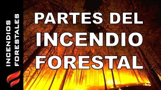 16 - Partes de un incendio forestal