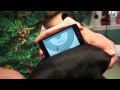 Ortolani Sign in the dog - YouTube
