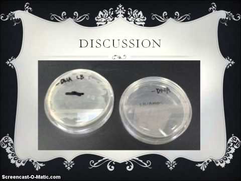 how to isolate protein from e.coli
