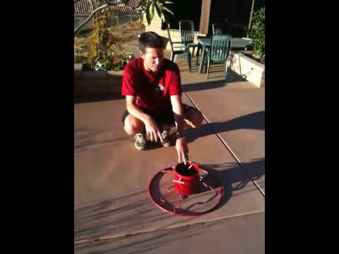 how to keep xmas tree fresh