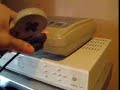 so here's a demo of my snes pc i put together, it was done quickly so you'll have to forgive the poor picture quality/shakeycam. this video shows the second controller in action and gives you a look round the back of the unit. it also shows the system shutting down upon a quick flick of the power switch. to exit games i just press l+r+start+select the pc inside the snes is an epia m10000 itx motherboard and i have only made one alteration to the snes to get this in there, the rf port had to ...