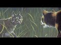 Heres a good video and the perfect song!! :D I had to make it cuz its almost Chirstmas!!!!!!! This is for all ppl out there!! xD Enjoy! Comment! Favorite! Rate! lol Thanks. Look at this link! Its from my old user account! looooooooook at the views! http://www.youtube.com/watch?v=Q5HaPjZDP9k