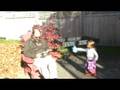 videos de Zoe the Monkey