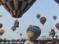 On Point - The Great Reno Balloon Race Mass Ascension