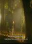 Martin Nievera Ikaw Ang Pangarap Video and Lyrics