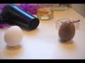 egg murder