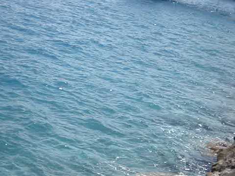 Watch RC Video: 'BPBA bermuda power boats not all boats part 1'