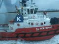 Show varen Kotug