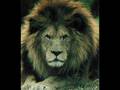 National Anthem Morocco The Atlas Lion