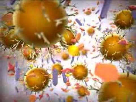 Magnetic Separation II