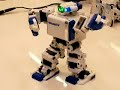 Omnibot17? i-SOBOT (3)