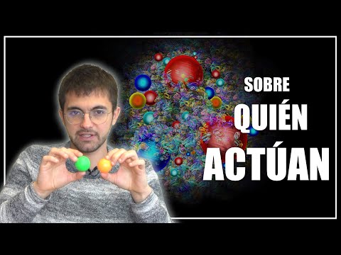 Imagen de previsualización de YouTube