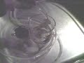 Home made water/alcohol distiller