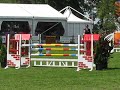 cari z sarah huttenhuis/springpaarden