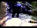 videos de The Body Farm - Study of Human Decomposition