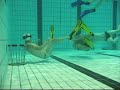 Trening311008del2
