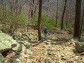 mid state trail hike: greenwood spur decending broad mt