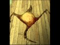 Half Life 2 - All Headcrab Sounds