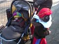 intocht sinterklaas 1e jaar voor fenna