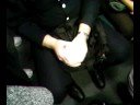 Officer is a violator too Officer is a violator too