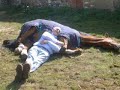 Funny Horses