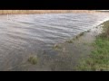 Water stijgt in Friesland tot grote hoogte