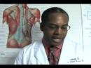 Chiropractic Care Services & Treatments : What is Kinesiotape in Chiropractic Care? Chiropractic Care Services & Treatments : What is Kinesiotape in Chiropractic Care?