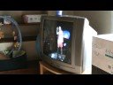 lara et tv