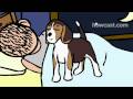 how to stop snoring