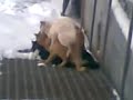 Кто тут хозяин