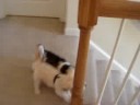 HOLLY MOLLY!!!!!!! fight-3 HOLLY MOLLY!!!!!!! fight-3