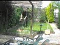 Interlude 7 - The Lawn