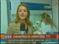 1° camundongo de FIV de SC 1° camundongo de FIV de SC