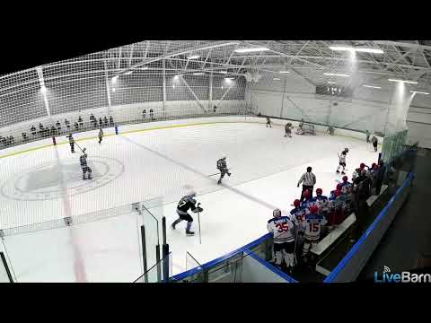 2024-10-01 Halton v Oakville - Marcus Carter #4 - Backcheck hard to create the takeaway and breakaway for the unassisted goal to go up 4-0 in Game #2.