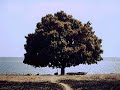 ___YouTube_____- surah ASH SHURA ~ 042 urdu translation,part C__.mp4