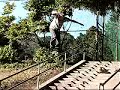 victor arias victor arias