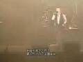 T.M zips(live)