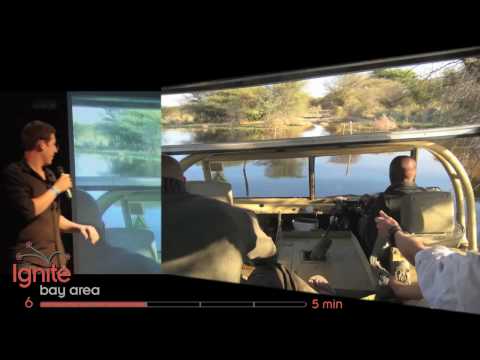 Hungry Hungry Hippos