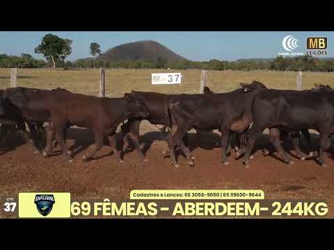 1� LEIL�O EXPOJUINA - 2026