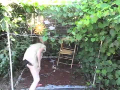 how to fertilize muscadines